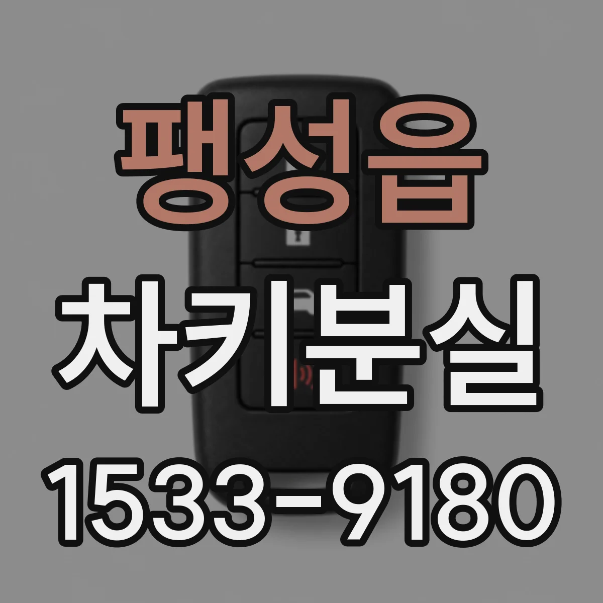 팽성읍 차키분실