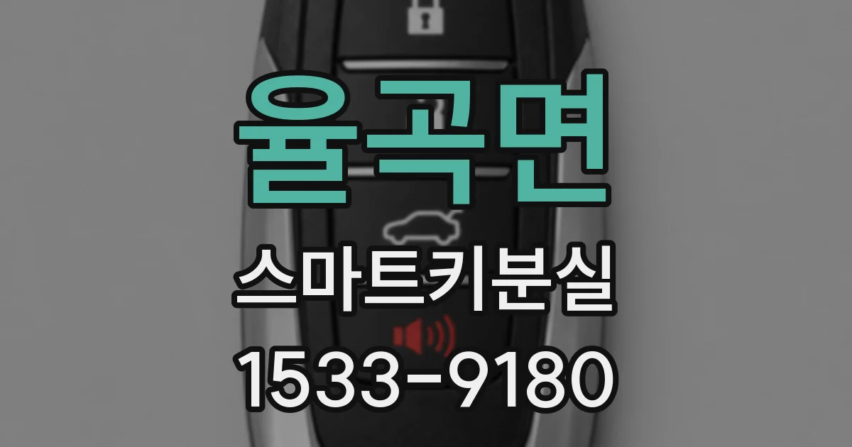 율곡면 스마트키분실