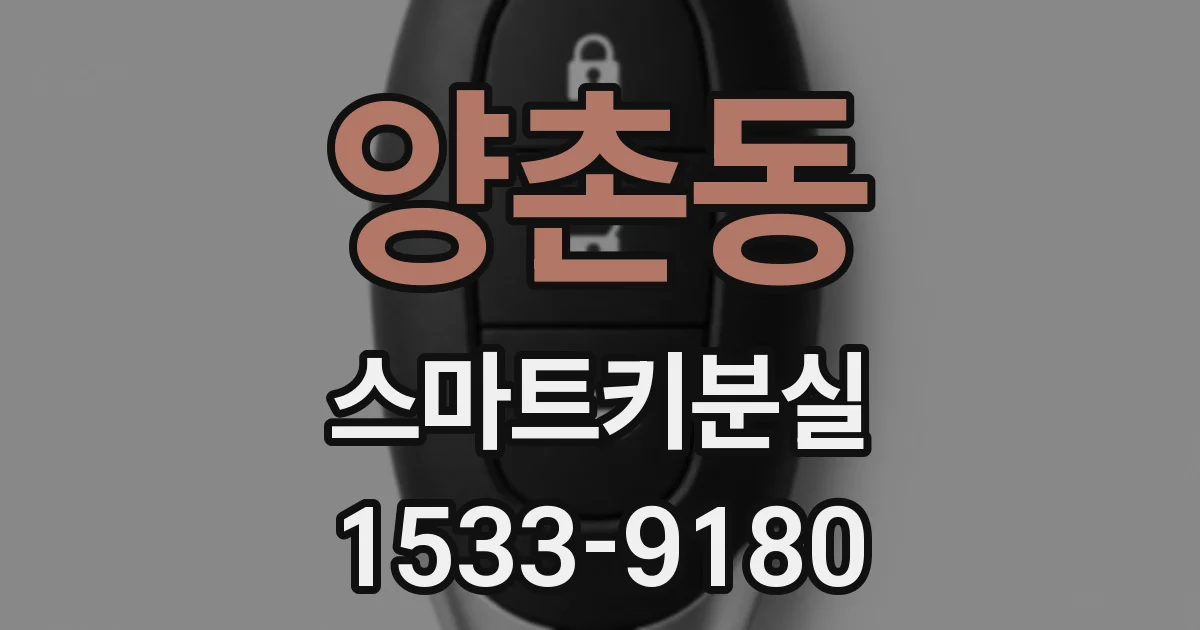 양촌동 스마트키분실