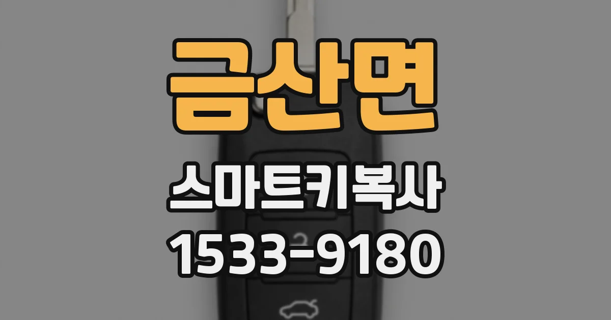 금산면 스마트키복사