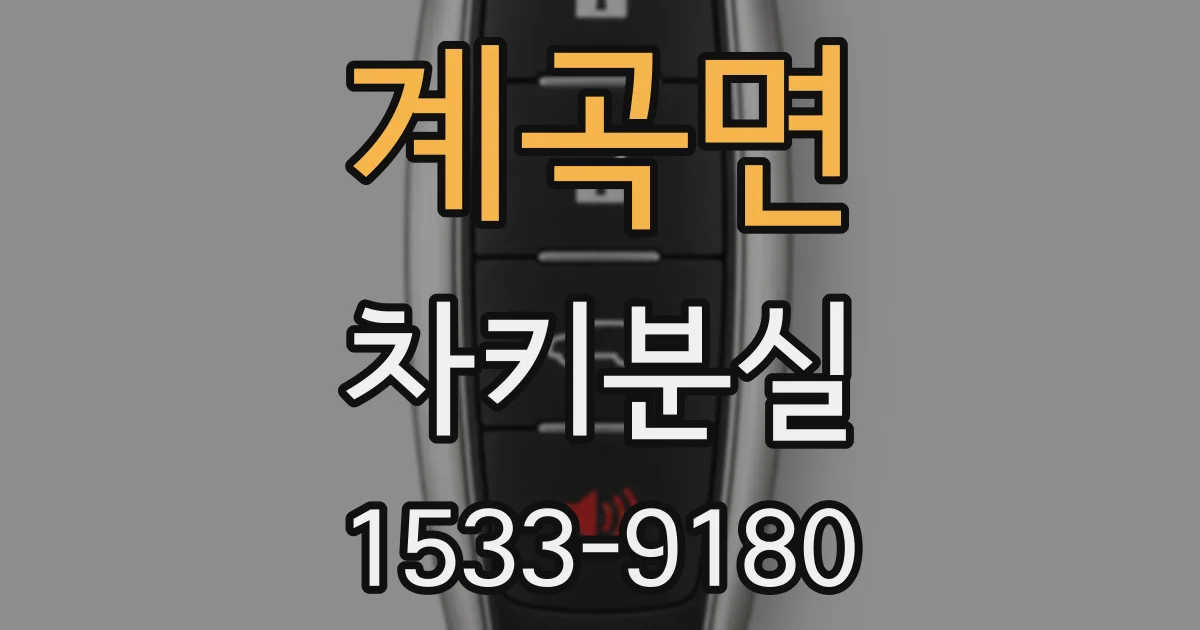 계곡면 차키분실