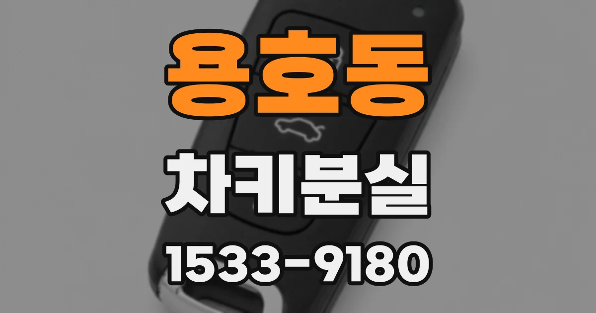 용호동 차키분실