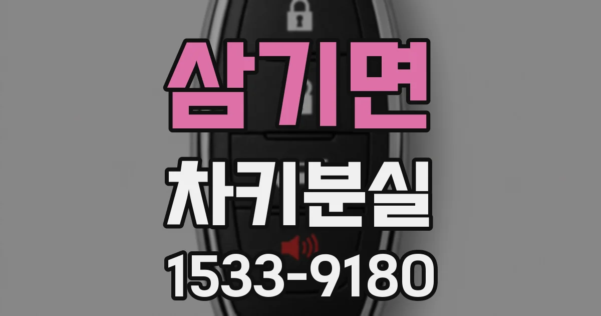 삼기면 차키분실
