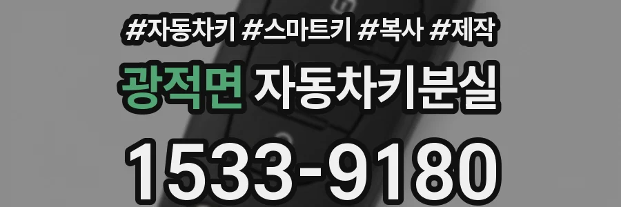 광적면 자동차키분실