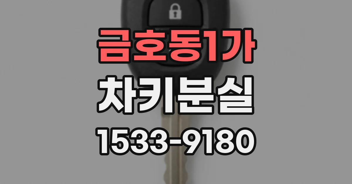 금호동1가 차키분실