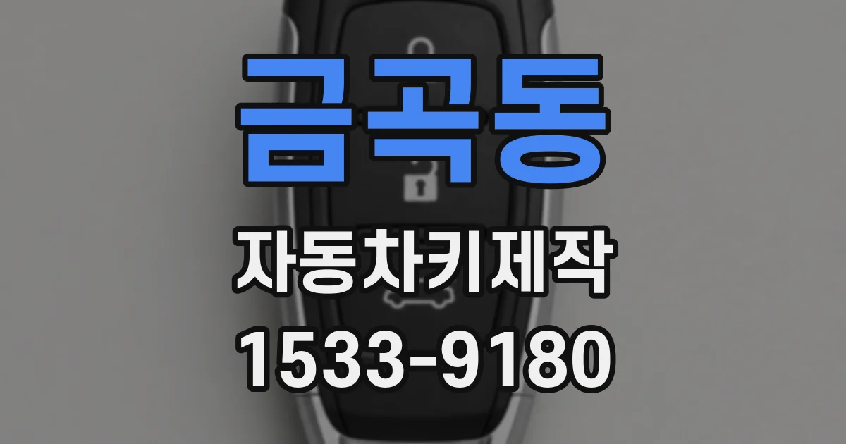 금곡동 자동차키제작