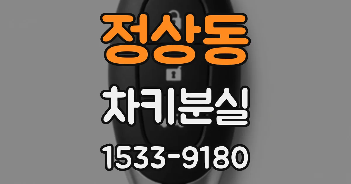 정상동 차키분실