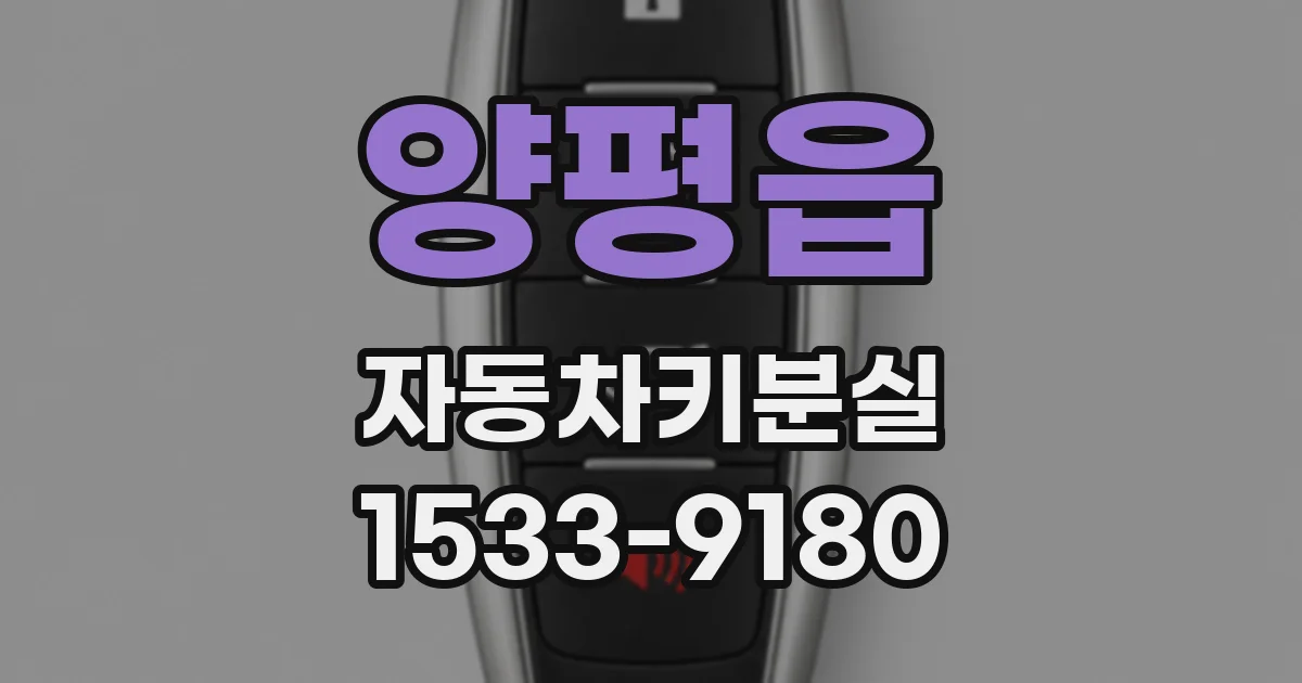 양평읍 자동차키분실