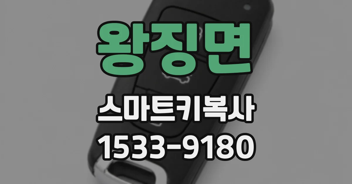 왕징면 스마트키복사