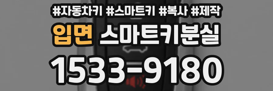 입면 스마트키분실