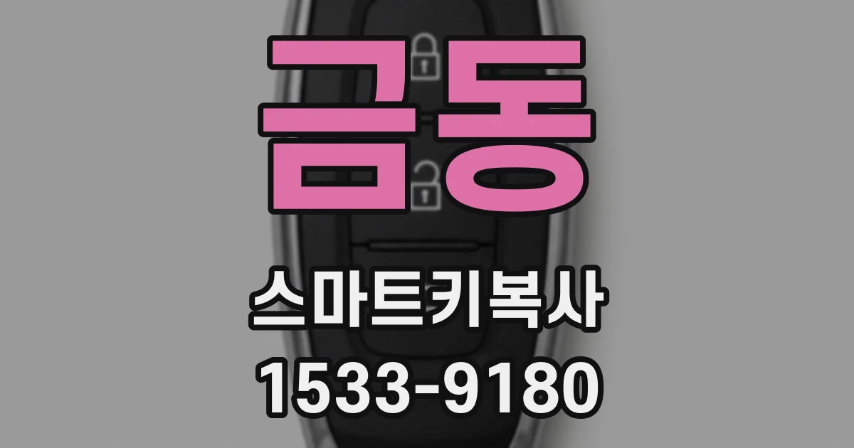 금동 스마트키복사
