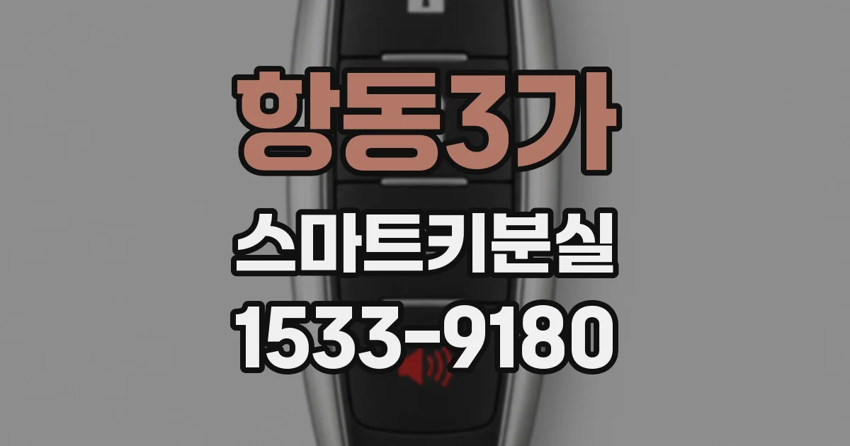 항동3가 스마트키분실