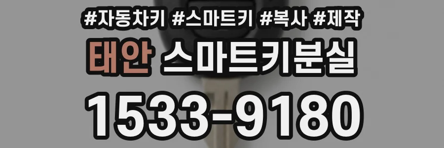 태안 스마트키분실