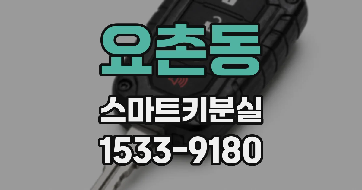 요촌동 스마트키분실