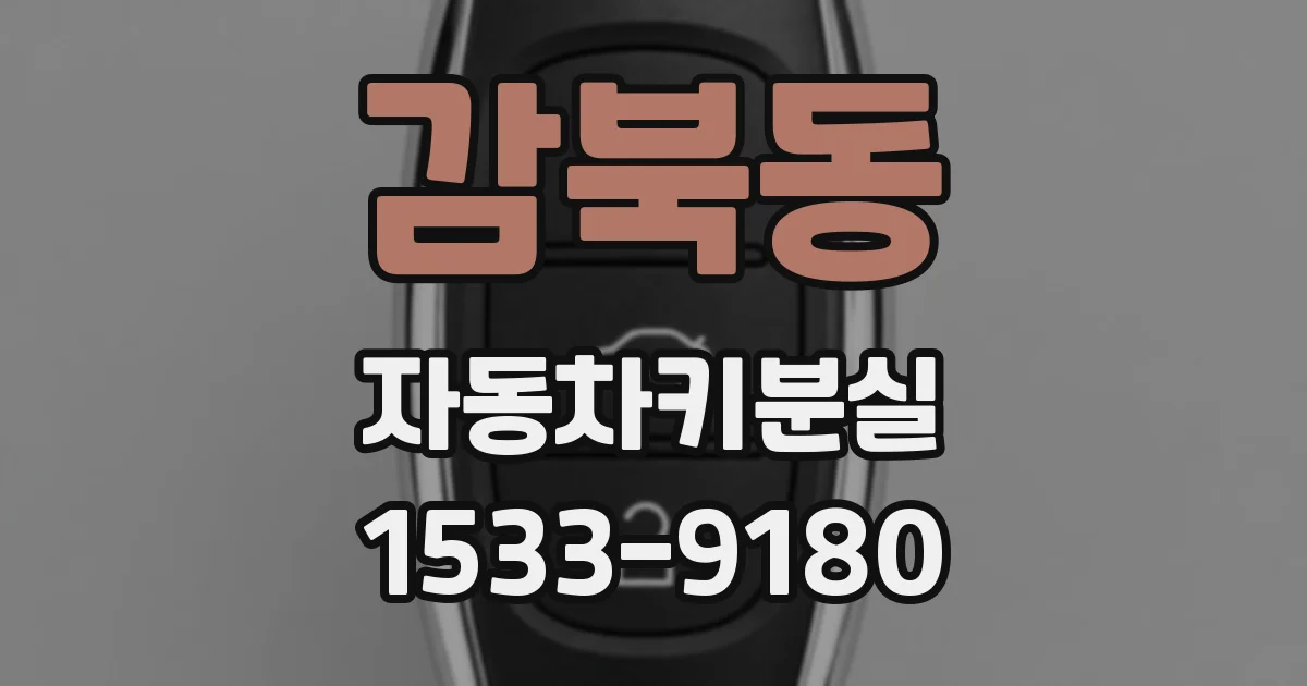 감북동 자동차키분실