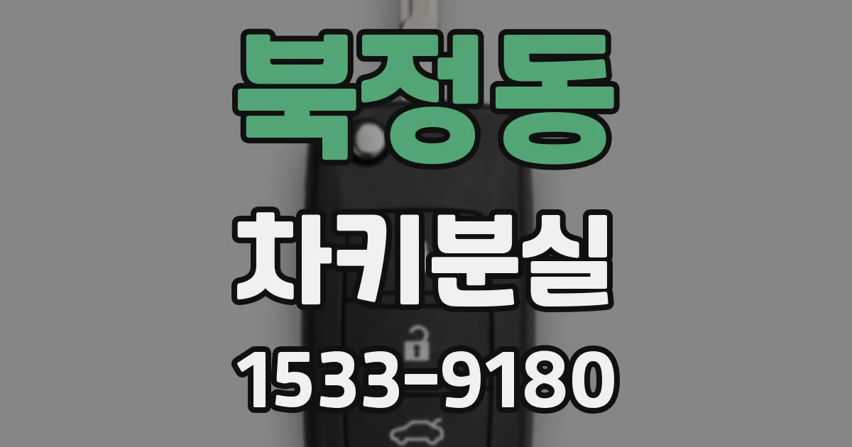 북정동 차키분실
