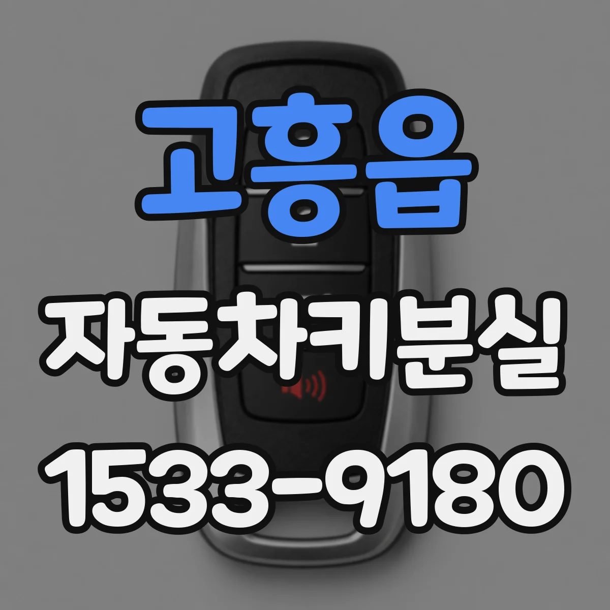 고흥읍 자동차키분실