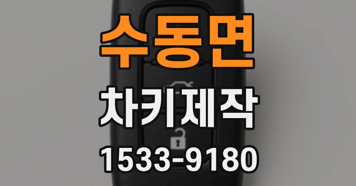 수동면 차키제작