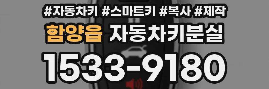 함양읍 자동차키분실