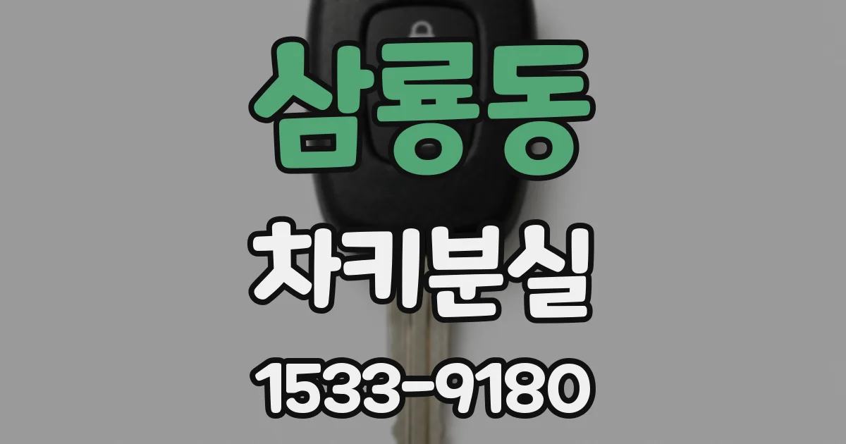 삼룡동 차키분실
