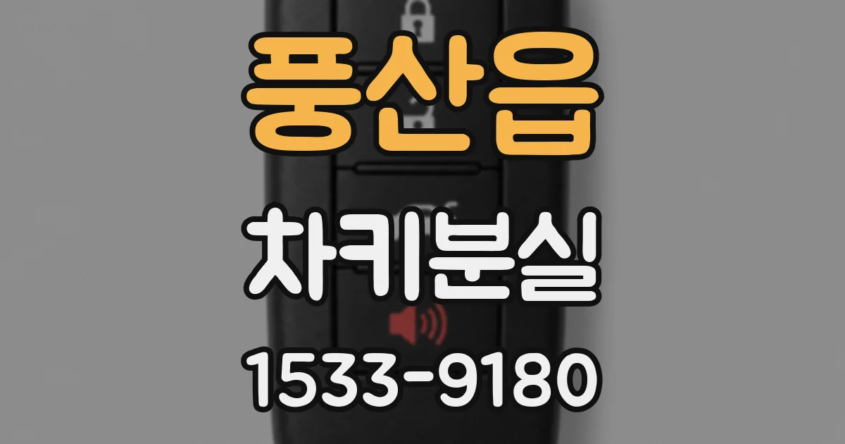 풍산읍 차키분실
