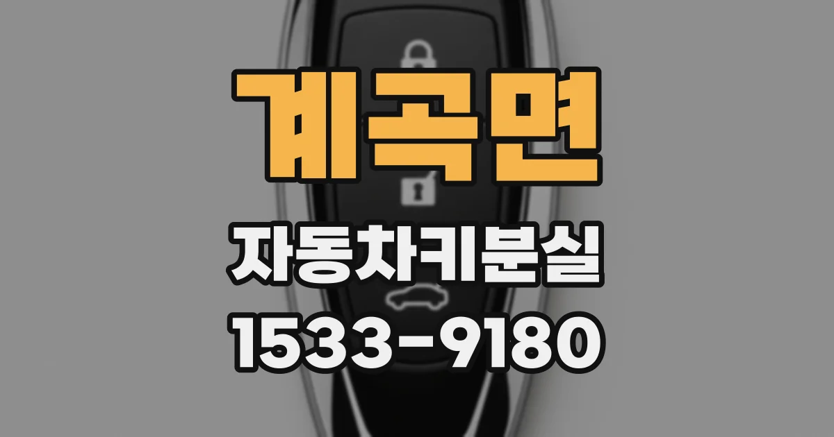계곡면 자동차키분실