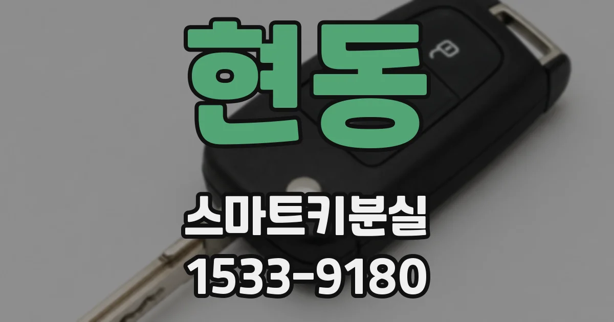 현동 스마트키분실