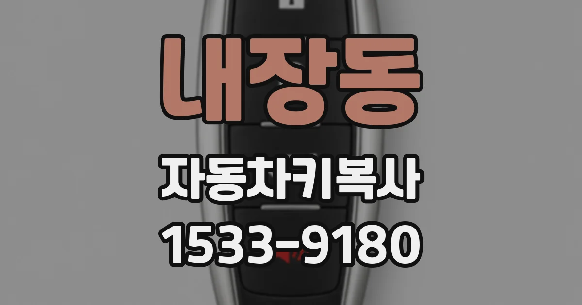 내장동 자동차키복사