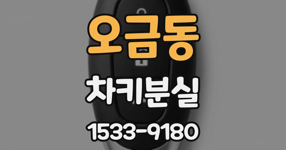 오금동 차키분실