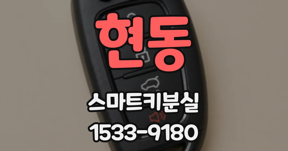 현동 스마트키분실