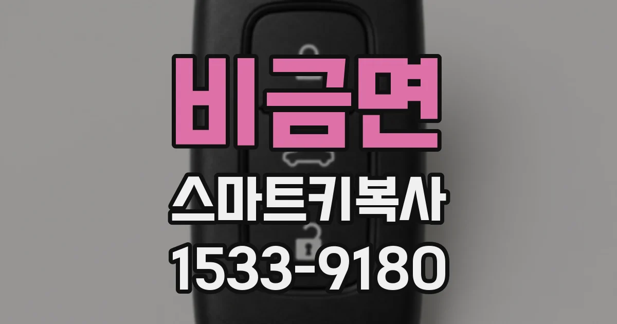 비금면 스마트키복사