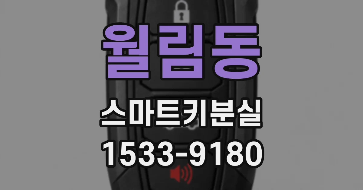 월림동 스마트키분실