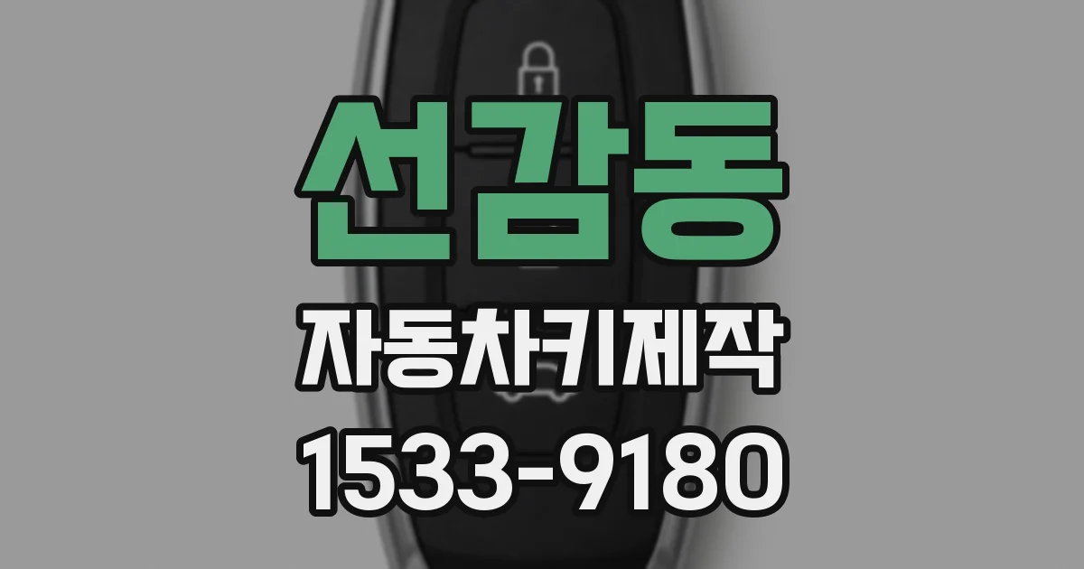 선감동 자동차키제작