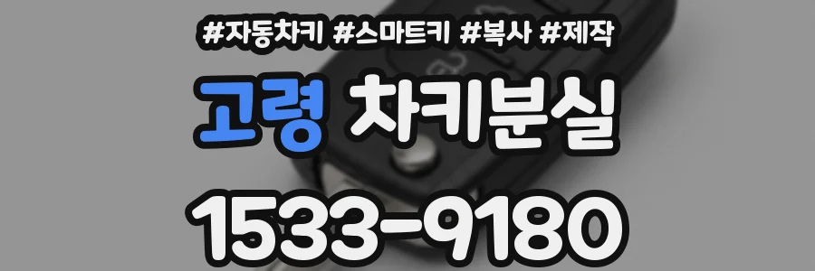 고령 차키분실