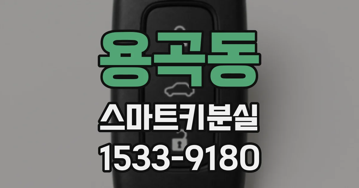 용곡동 스마트키분실