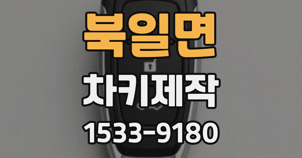 북일면 차키제작