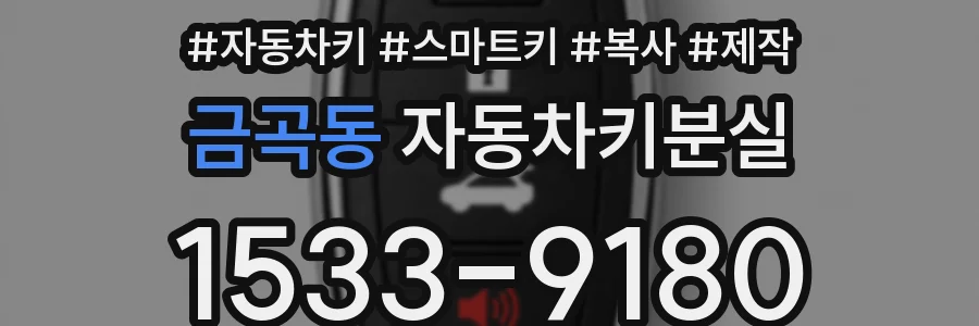 금곡동 자동차키분실