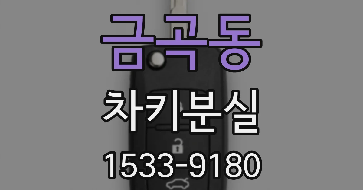 금곡동 차키분실