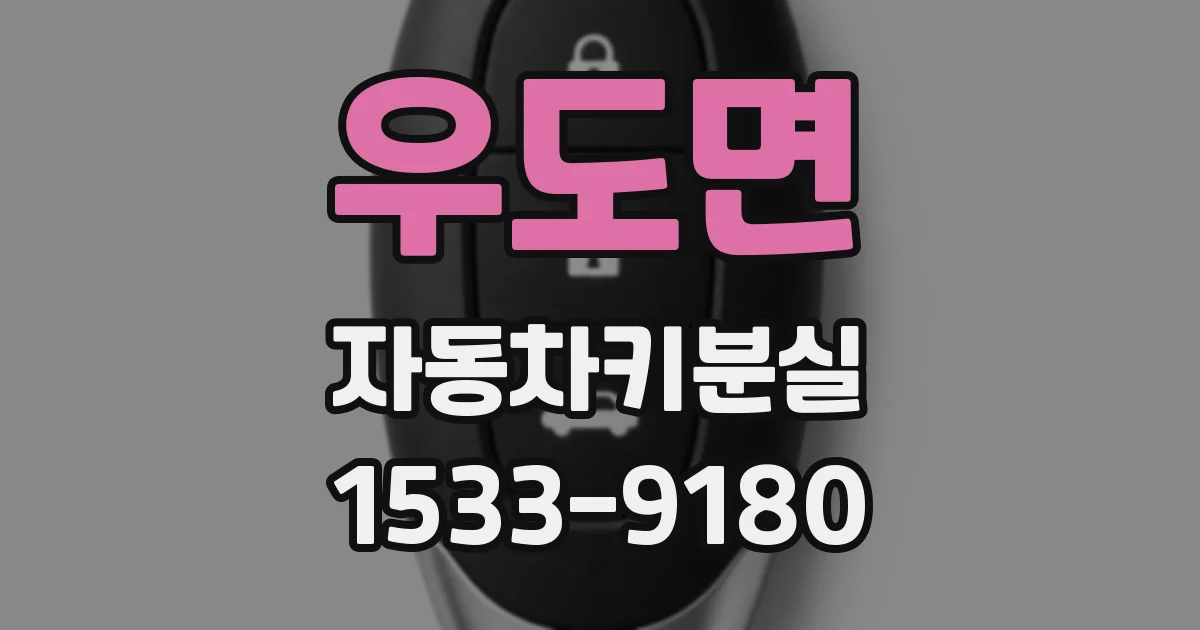 우도면 자동차키분실