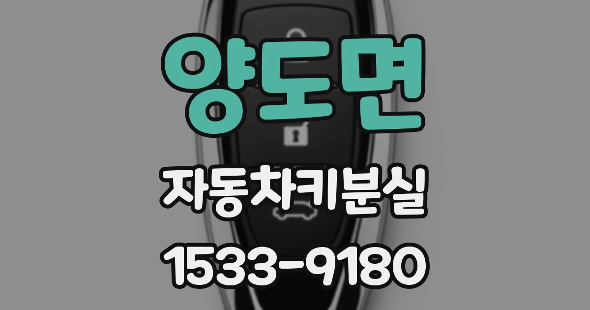양도면 자동차키분실