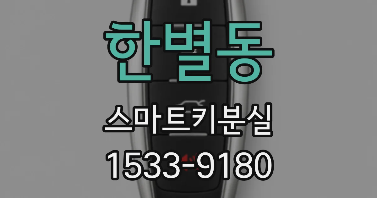 한별동 스마트키분실