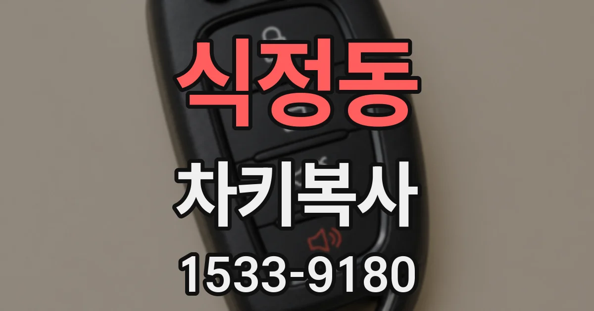 식정동 차키복사