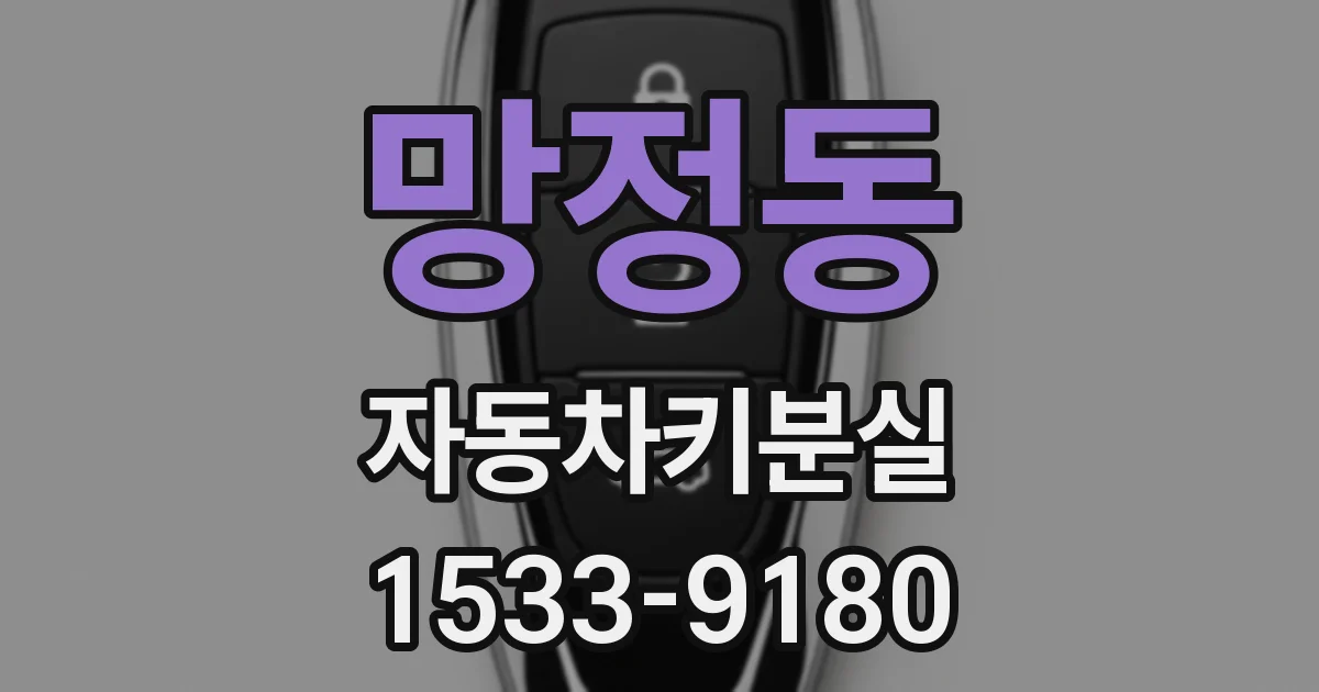 망정동 자동차키분실