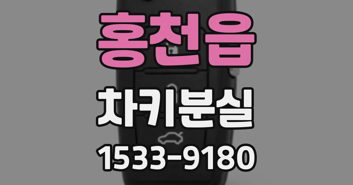 홍천읍 차키분실