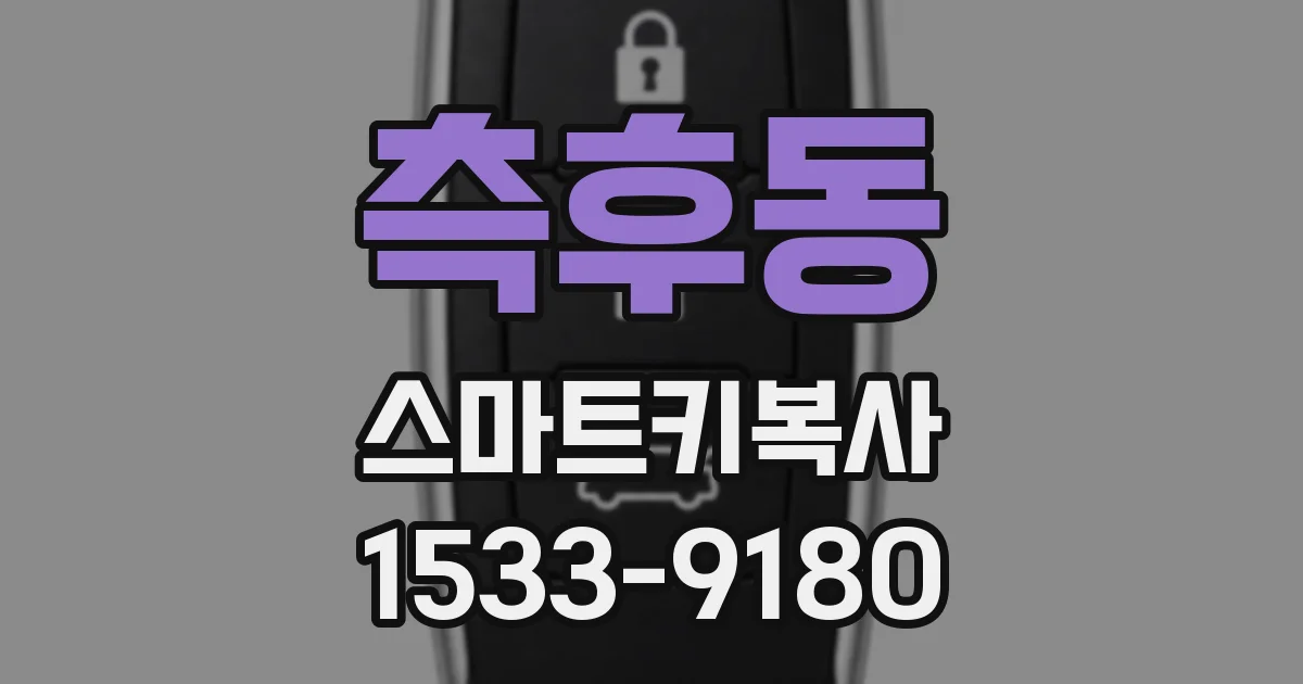 측후동 스마트키복사
