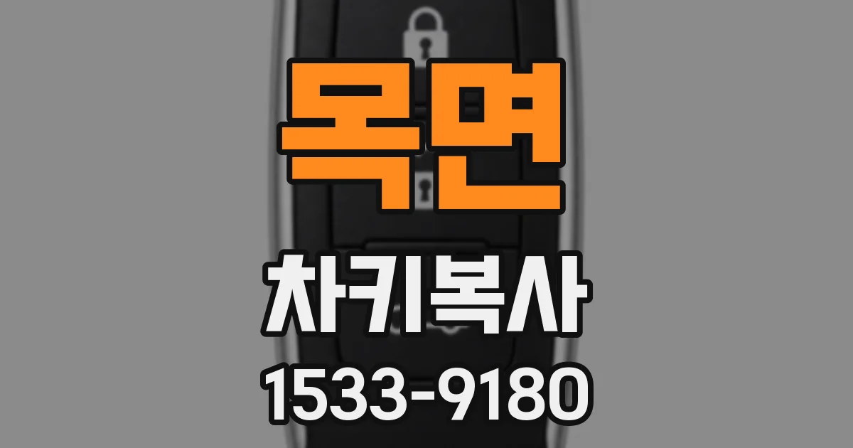 목면 차키복사