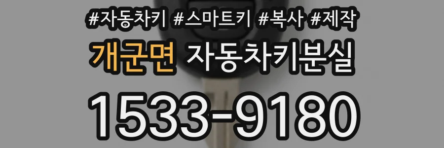 개군면 자동차키분실