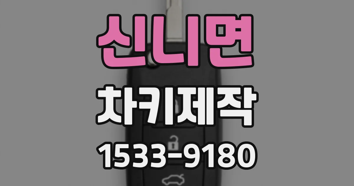 신니면 차키제작