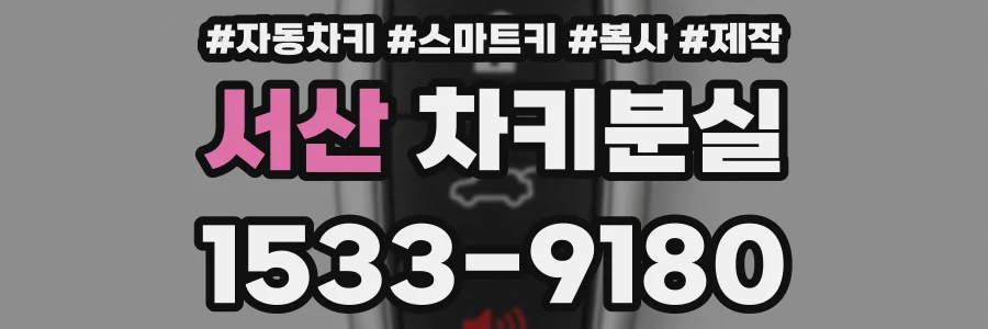 서산 차키분실