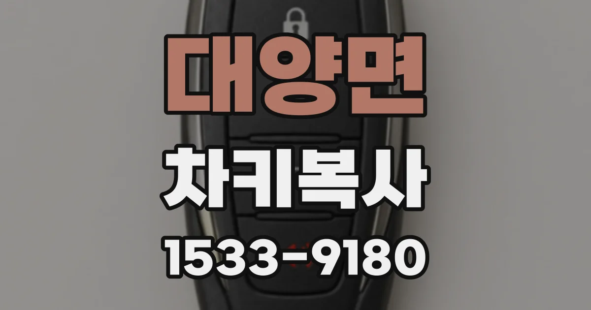 대양면 차키복사